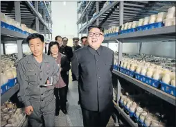  ?? Picture: AFP ?? NUCLEAR AMBITIONS: North Korean Mushroom Farm in Pyongyang leader Kim Jong-Un, right, visits the Pyongyang