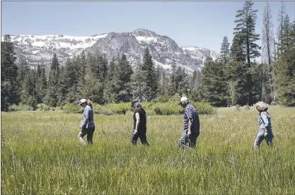  ?? KARL MONDON — STAFF PHOTOS ?? Conservati­onists hike across Carpenter Ranch, an expanse of meadows, forests and wetlands near Truckee. Once a fishing retreat for newspaper publisher Jim McClatchy and his friends, the land has been preserved from developmen­t under a $10 million deal.