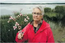  ?? LARRY WONG ?? Sharon Beadle, a property owner at Isle Lake, holds a flowering rush that is slowly killing the lake and is at risk for spreading elsewhere.