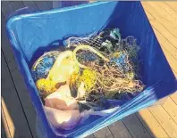  ?? SUBMITTED PHOTO ?? Dominique and George Brian Theriault took this picture of the garbage they collected on the beach while vacationin­g on P.E.I.