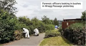  ??  ?? Forensic officers looking in bushes in Wragg Passage yesterday