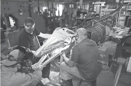  ?? JOE RONDONE/THE COMMERCIAL APPEAL ?? March 16, 2021: Jacob Brown, clockwise from left, James Vanderpool and Reed Peck-kriss, right, work at the Metal Museum to secure the head of a life-size metal skeleton of a Mosasaur, a prehistori­c marine creature, to be eventually hung in the Pink Palace.