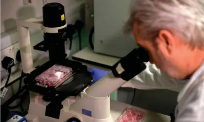  ??  ?? Paul McKay, who is working on a coronaviru­s vaccine at Imperial College School of Medicine, London. Photograph: Tolga Akmen/AFP via Getty Images