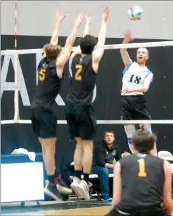  ?? Herald photo by Dale Woodard ?? Carter Hansen of the Lethbridge College Kodiaks goes up for the kill against Medicine Hat Rattlers Edvard Nordlund (5) and Dexter Mackie (2) in Alberta Colleges Athletic Conference play Thursday night at the Val Matteotti Gymnasium.