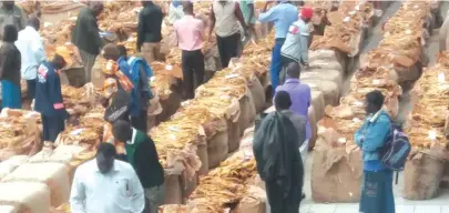  ??  ?? Tobacco buyers look at bales laid at Boka Tobacco Auction Floors in Rusape