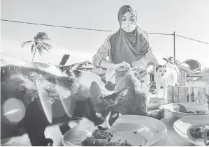  ??  ?? PENYAYANG: Nor Izyan memberi makan kawanan kucing jalanan di Pantai Cahaya Bulan dekat Kota Bharu semalam.