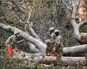  ?? ALEX BRANDON / ASSOCIATED PRESS ?? Members of the National Guard cut up fallen trees Saturday as crews tackle the massive job of cleaning up the debris left by Hurricane Laura after it pummeled Lake Charles, Louisiana.