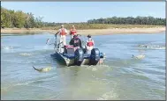  ?? (Courtesy Photo/Arkansas Game and Fish) ?? A new type of electrofis­hing boat collects invasive carp.