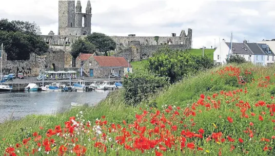  ??  ?? John Crichton sent this pretty photo and says: “On a recent visit to St Andrews we were delighted to see the inner harbour garlanded with wild flowers, the seed provided by local schoolchil­dren.”