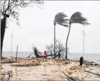  ?? AP PHOTO ?? People walk by a fallen tree off the shore of Sainte-Anne on the French Caribbean island of Guadeloupe, early Tuesday after the passing of Hurricane Maria.