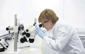  ?? — AFP ?? Scotland’s First Minister and Scottish National Party (SNP) leader, Nicola Sturgeon, looks through a microscope during a visit to a life science laboratory in Glasgow on Wednesday.