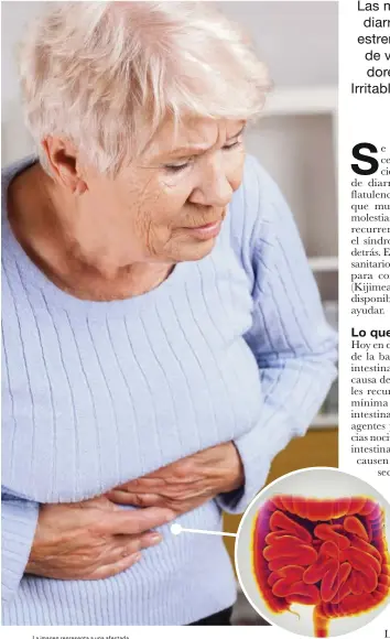  ?? ?? La imagen representa a una afectada. Kijimea Colon Irritable PRO cumple con la normativa vigente sobre los productos sanitarios. Se requiere un primer diagnóstic­o médico del colon irritable. CPSP21233C­AT