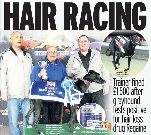  ??  ?? MANE MAN Proud Derek (centre) gets Performanc­e of Month prize with greyhound Dinnington Lady MED DOGS Regaine and Voltarol HARING OFF Dinnington Lady