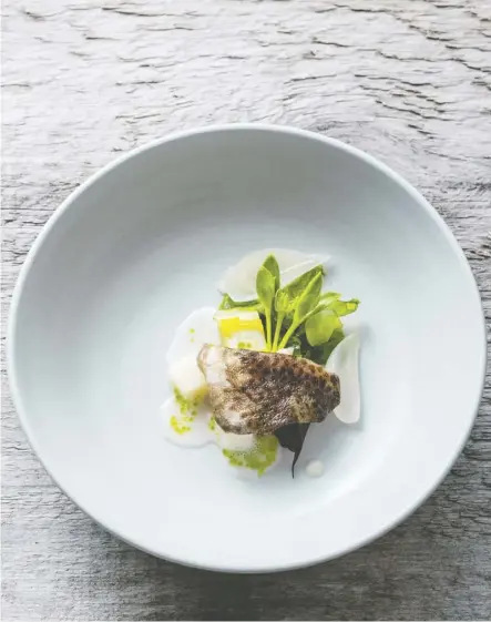  ?? Photos: John Cullen ?? Jeremy Charles’ cod cheek dish is all about highlighti­ng the most delicate cut of the fish.