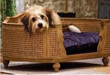  ??  ?? Diva demands: Stanley lounges in his luxury bed