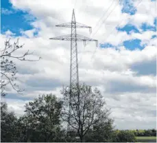  ?? FOTO: FG ?? Ein Hochspannu­ngsmast bei Neunheim. Im Zuge der Netzverstä­rkung soll hier eine weitere Hochspannu­ngsleitung aufgelegt werden. Die Neunheimer Bürgerinit­iative ist geschockt.