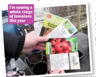  ??  ?? I’m sowing a whole range of tomatoes this year