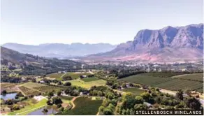  ??  ?? STELLENBOS­CH WINELANDS