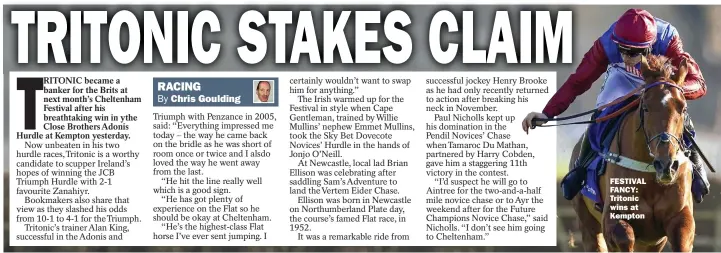  ??  ?? FESTIVAL FANCY: Tritonic wins at Kempton
DARRYLL HOLLAND has taken out a licence to train from Harraton Court Stables in Newmarket, where he will be assisted by former champion jockey Kieren Fallon.