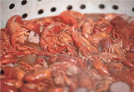  ?? MAX GERSH/THE COMMERCIAL APPEAL ?? Crawfish cook in a pot at Crossroads Seafood in Hernando.