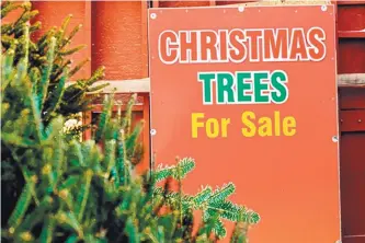  ?? SOURCE: DREAMSTIME ?? The Trump administra­tion is pushing for changes to NAFTA, which now governs $1 trillion a year in commerce. Christmas tree growers are particular­ly concerned about a possible withdrawal.