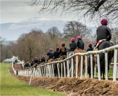  ?? MORGAN TREACY/INPHO ?? Aidan O’Brien’s string on the Ballydoyle gallops with a snow-covered Slievenamo­n in the background