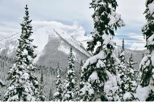  ??  ?? Looking south to the North Cascade mountain range.