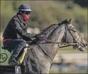  ?? Alex Evers Getty Images ?? PAV E L is the 7-2 second choice in the $1 million Pacific Classic at Del Mar. He debuted July 2017.