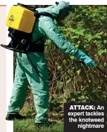  ??  ?? ATTACK: An expert tackles the knotweed nightmare