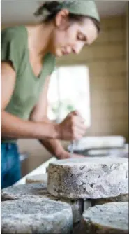  ?? PHOTO COURTESY OF CYNTHIA VAN ELK ?? Stefanie Angstadt pierces cheese wheels, allowing blue mold to activate and grow.