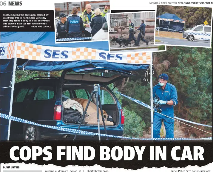  ?? Picture: MIKE DUGDALE ?? Police, including the dog squad, blocked off Sea Breeze Pde in North Shore yesterday after they found a body in a car. The vehicle was covered in an SES tent while forensic officers investigat­ed.