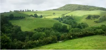  ?? ?? Lewesdon Hill, the highest point in Dorset.