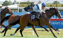  ?? PHOTO: RACE IMAGES ?? Devise (Michael Coleman) wins the Gr1 Haunui Farms weight-for-age race from Consensus at Hastings on Saturday.