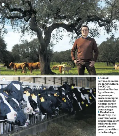  ??  ?? 1.António Serrano, ex-ministro da Agricultur­a, é o CEO da Jerónimo Martins Agroalimen­tar, empresa que acaba de comprar uma herdade no Alentejo para engorda de bovinos da raça Angus 2. Herdade em Monte Trigo tem uma vacaria que produz cerca de 30 mil...