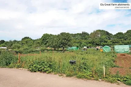  ?? JONATHAN MYERS ?? Ely Great Farm allotments