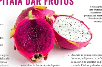 PARA A PITAIA DAR FRUTOS - PressReader