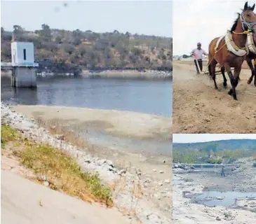  ?? BIBIANA DÍAZ, JULIO CÉSAR MARTÍNEZ Y CARMEN FLORES ?? Bajos niveles de agua, sequía y reducción de alimento para ganado ponen en alerta a las regiones/fotos: