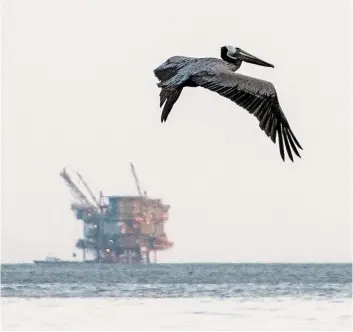  ?? PHOTO AFP ?? Les autorités américaine­s envisagent d’accorder 47 licences de forage en mer, comme cette plateforme pétrolière située au large de la Californie.