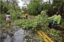  ?? Phil Sears/Associated Press ?? Residents of an apartment complex try to clear Old St. Augustine Road of trees and debris Friday in Tallahasse­e, Fla.