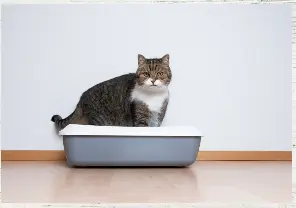  ?? ??