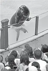  ?? Christophe­r Reynolds/Los Angeles Times/TNS ?? Spectators watch the seal and sea lion show in 2012 at SeaWorld in San Diego, Calif.