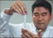 ?? JIN LIWANG / XINHUA ?? A Chinese researcher shows a sample of artificial­ly synthesize­d starch.