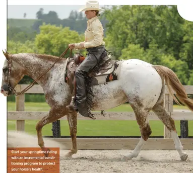  ??  ?? Start your springtime riding with an incrementa­l conditioni­ng program to protect your horse’s health.