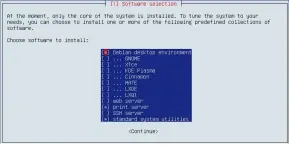  ??  ?? Initial software selection for one or more desktop managers, SSH, website server, etc. More can be added after installati­on has completed.