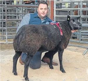  ??  ?? The Blue Texel champion from the Saltire flock sold for the top price of 1,100gn