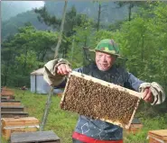  ?? PROVIDED TO CHINA DAILY ?? A bee farmer in Laohegou Land Trust Reserve in Sichuan province.