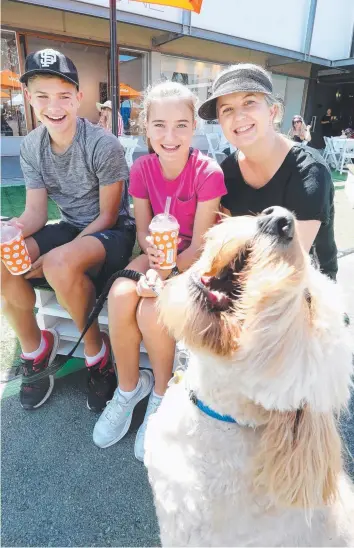  ??  ?? George the two-year-old groodle – that is a golden retriever and poodle cross for those who don’t know – put on his own performanc­e for owners Alex, 14, Josie, 12, and Tanya Atwill at the festival.