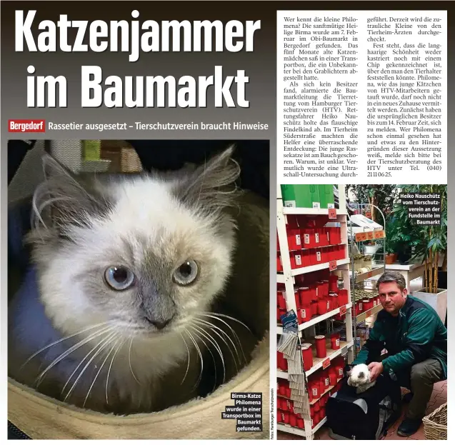  ??  ?? Birma-Katze Philomena wurde in einer Transportb­ox im Baumarkt gefunden. Heiko Nauschütz vom Tierschutz­verein an der Fundstelle im Baumarkt