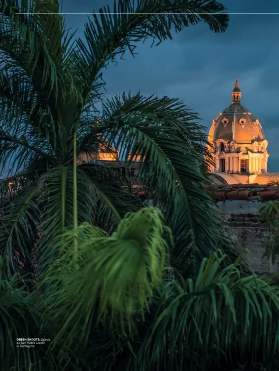  ??  ?? GREEN SHOOTS: Iglesia de San Pedro Claver in Cartagena