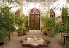  ??  ?? Potted Palm Trees displayed in an indoor courtyard